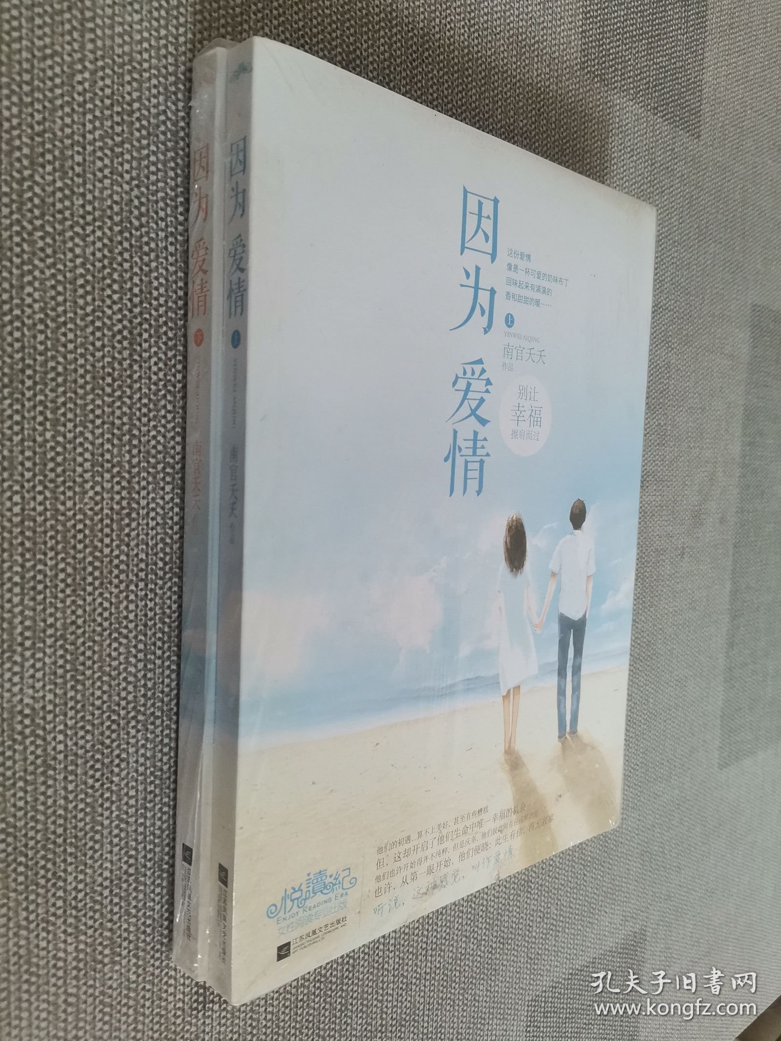 因为爱情 上下册