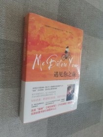 遇见你之前