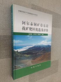 阿尔泰铜矿带东段找矿靶区优选及评价