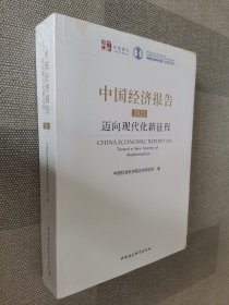 中国经济报告2021:迈向现代化新征程