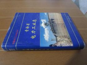 中国电力工业志丛书--青海省电力工业志（精装有书衣1版1印）