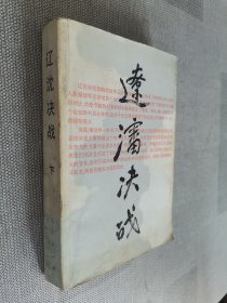 辽沈决战（下册）