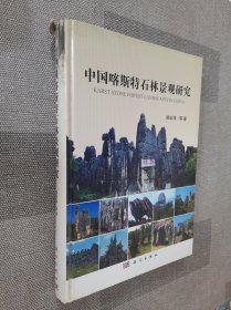 中国喀斯特石林景观研究