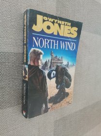 英文原版书：NORTH WIND