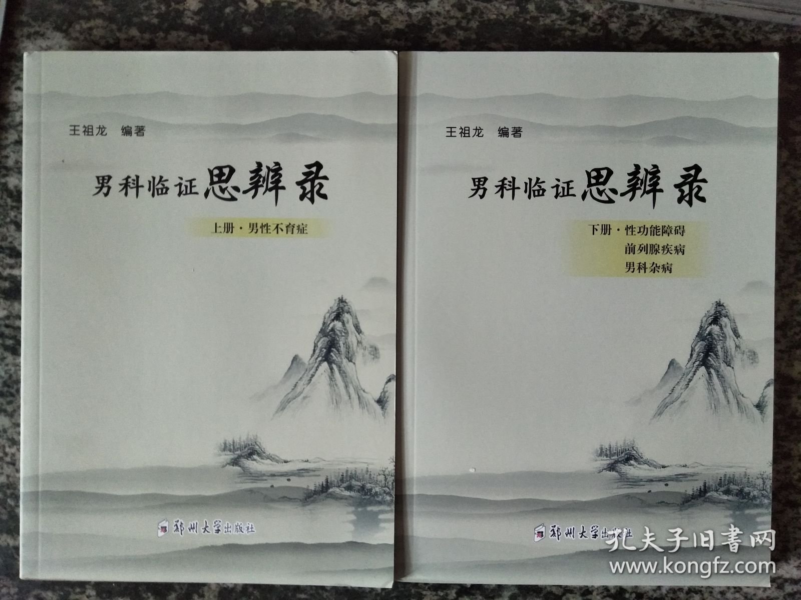 男科临证思辨录 上下