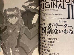 日版 EVA 新世紀エヴァンゲリオン絵コンテ集〈2〉分镜设定② 精装 –1997年7月1日 初版绝版不议价不包邮  瑕疵