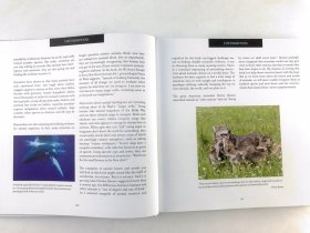 Inside Animal Hearts and Minds: Bears That Count, Goats That Surf, and Other True Stories of Animal Intelligence and Emotion