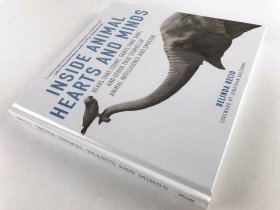 Inside Animal Hearts and Minds: Bears That Count, Goats That Surf, and Other True Stories of Animal Intelligence and Emotion