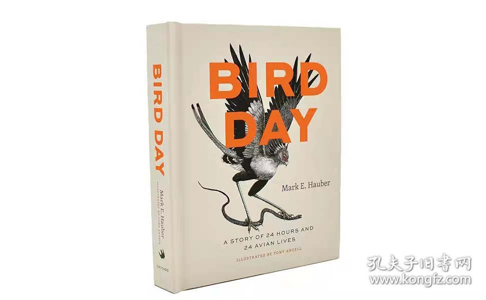 Bird Day  A  Story of 24 Hours and 24 Avian Lives