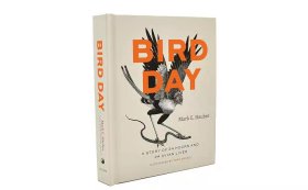Bird Day  A  Story of 24 Hours and 24 Avian Lives