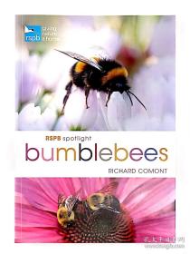 英文RSPB Spotlight Bumblebees
