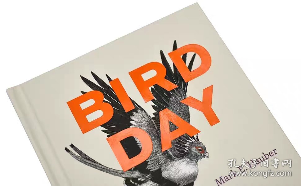 Bird Day  A  Story of 24 Hours and 24 Avian Lives