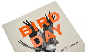 Bird Day  A  Story of 24 Hours and 24 Avian Lives