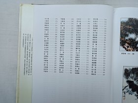 中国现代艺术精品集 1998/上卷;秦宏奇 主编;人民中国出版社;大16开;硬精装;函套装;