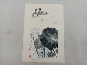 活页散页画页一张；荷塘双鸭 程十发 作；8开；