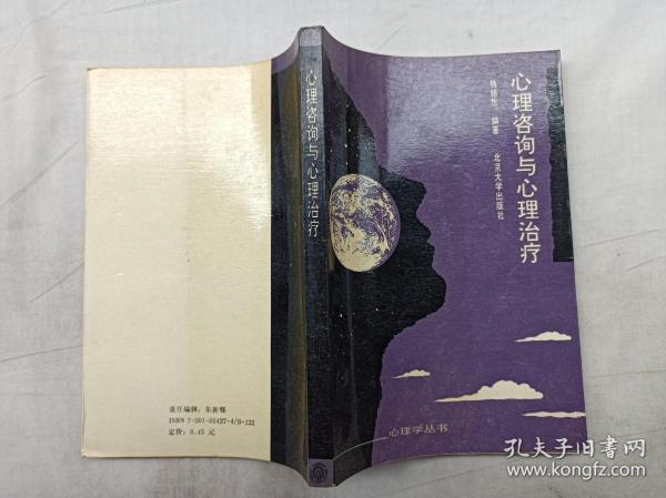 心理学丛书         心理咨询与心理治疗；钱铭怡 编著；北京大学出版社；大32开