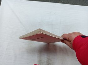 缅怀林敬文同志；《缅怀林敬文同志》编辑委员会；32开；封脱落；有回潮霉斑；