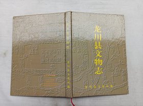 龙川县文物志；龙川县文化局 编；2004年8月；16开；硬精装；