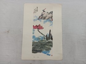 活页散页画页一张；翠羽图 李苦禅 作；8开；