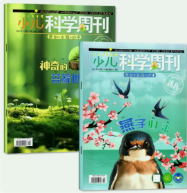 少儿科学周刊儿童版杂志2024年3月