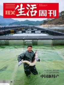 三联生活周刊杂志2025年4月第15期