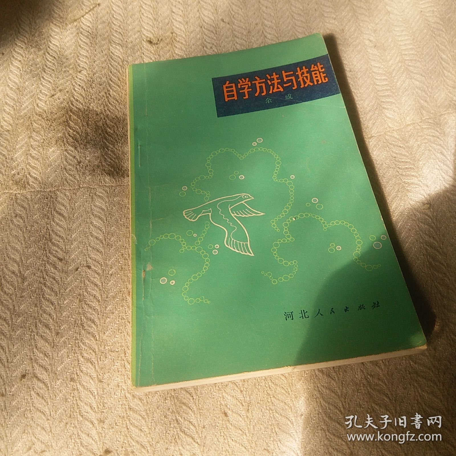 自学方法与技能