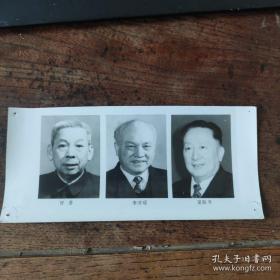 1993年，新当选的八届人大副委员长：李沛瑶、吴阶平、甘苦