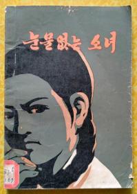 눈물 없는 소녀【朝鲜文 朝鲜语】没有眼泪的少女