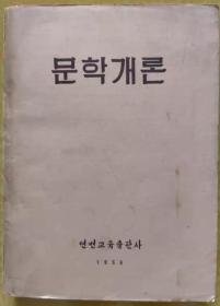 文学概论【朝鲜文 朝鲜语】문학개론