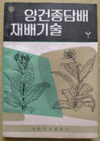 晒烟栽培技术【朝鲜文 朝鲜语】양건종담배재배기술