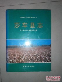 莎车县志--新疆维吾尔自治区地方志丛书