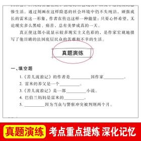 苦儿流浪记 适合小学生三年级至四五年级六必读的的书目小学上册下册寒假看的读的书籍阅读8-10岁以上儿童经典读物