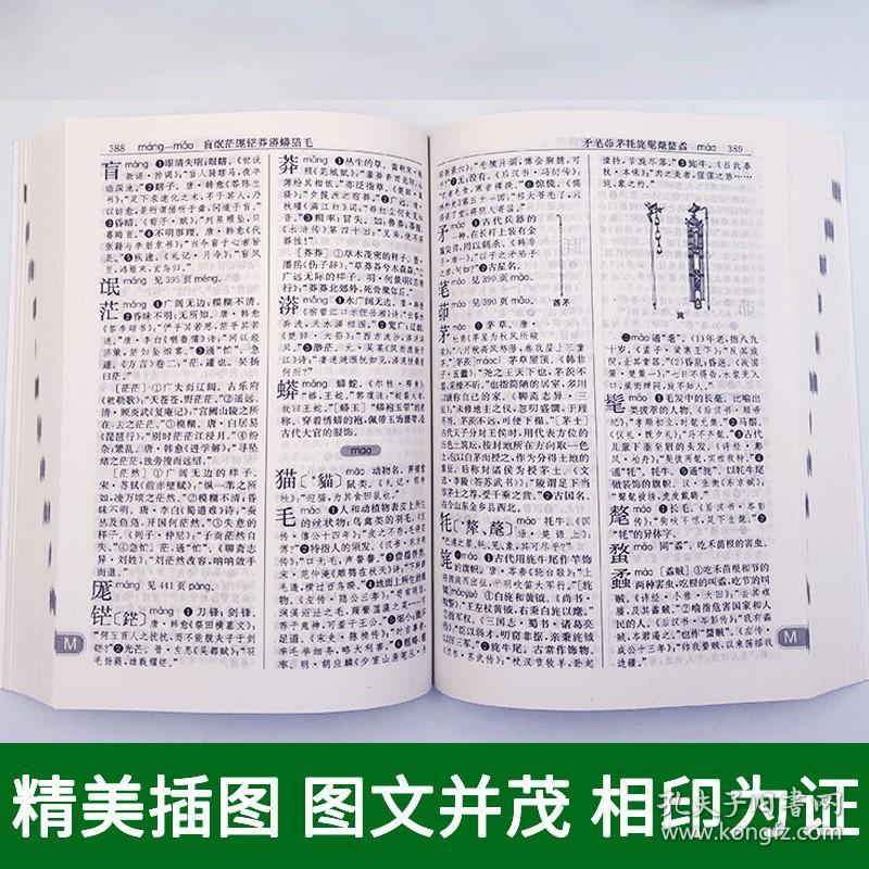 2020新版 古汉语常用字字典 商务印书馆 古代汉语词典/字典 中小学生学习古汉语文言文工具书 汉语辞典书籍第五版 第5版