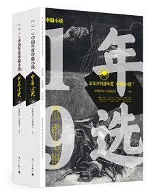 2019中国年度中篇小说（上下册）精选王蒙老藤张柠李司平樊健军李治邦杨少衡周建新等20位作家的20篇佳作中篇小说精选作品集书籍