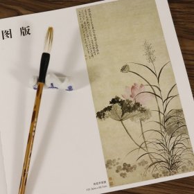 恽寿平中国画大师经典系列丛书恽寿平花鸟册页国画画册画集精品画艺百花图卷醉美册页花鸟鱼虫人物山水人美画谱好丹青临摹范本书籍