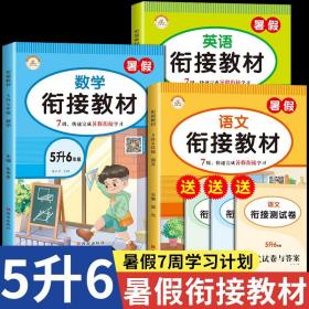 五升六暑假衔接教材全套语数英(3册) 五年级升六年级暑假作业同步练习册语数英专项训练5升6阅读复习资料