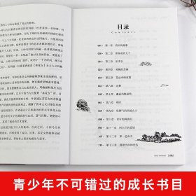 茶花女 中小学生课外阅读书籍世界经典文学名著青少年儿童文学读物故事书名家名译原汁原味读原著