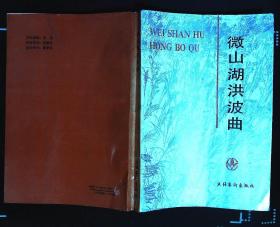 微山湖洪波曲 李金陵 谷传光 李延法编著 1991年威海艺术出版社出版32开本409页297千字85品相（编5）