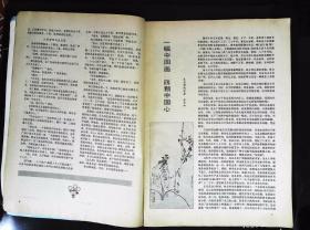 八小时以外1985年2期总第32期封面马元浩摄影 封二杨尚昆和王震（武治义摄影）；朱明瑛“万水千山总是情”；本期目录；一幅中国画四颗中国心（张大千、赵少昂、关山月和林文杰合作画《松梅竹图》的文章）；广东王力国画新作---野趣图、故乡月；英国名画；邓君瑜摄影小品；黄永玉与新凤霞图文；封三影星陈烨彩照等内容16开本64页85品相