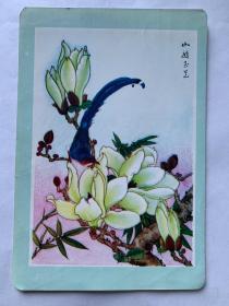 小画片—花鸟4张