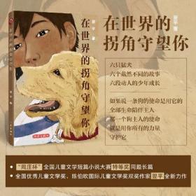 在世界的拐角守望你全国优秀儿童文学奖、陈伯吹国际儿童文学奖双奖作家翌平全 新力作.