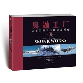 臭鼬工厂:75年尖端飞行器研发图史:skunkworks