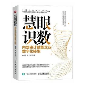 慧眼识数 内部审计赋能企业数字化转型