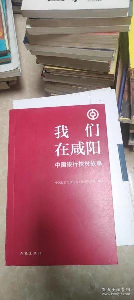 我们在咸阳——中国银行扶贫故事（扶贫干部的苦辣酸甜）