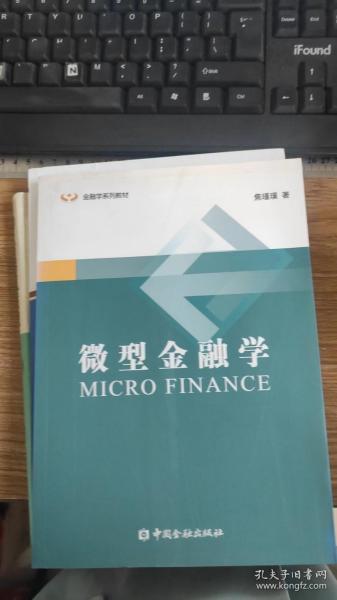 微型金融学/金融学系列教材