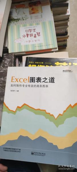 Excel图表之道：如何制作专业有效的商务图表