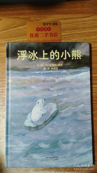 浮冰上的小熊