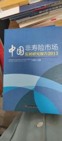 中国非寿险市场发展研究报告（2013）