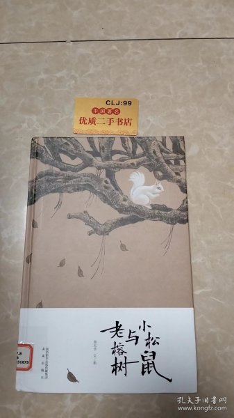 小松鼠与老榕树(这是一本哲学启蒙的绘本，让孩子开始思考思考人与人之间的情感交流，开始思考这个世界事物的运转。你走过的路，遇到的人，都会让有限的生命活出无限的精彩。)