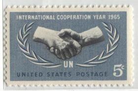 美国1965年国际合作年